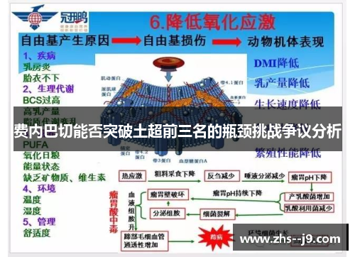 费内巴切能否突破土超前三名的瓶颈挑战争议分析