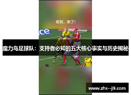 魔力鸟足球队：支持者必知的五大核心事实与历史揭秘