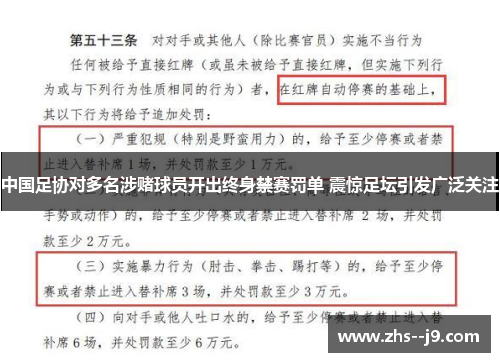 中国足协对多名涉赌球员开出终身禁赛罚单 震惊足坛引发广泛关注
